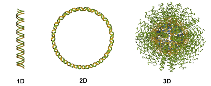 Nucleic acid