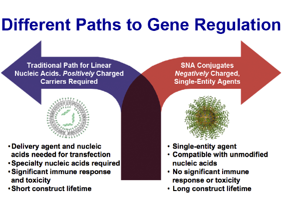 Nucleic acid