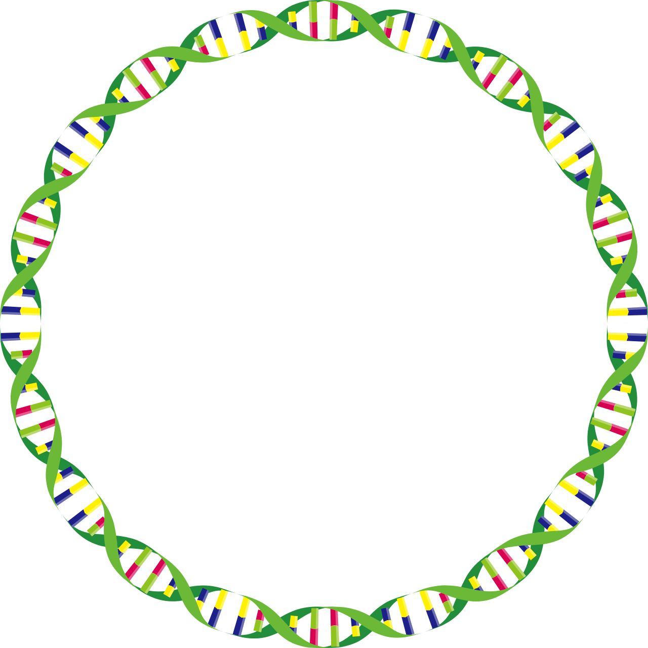 Plasmid