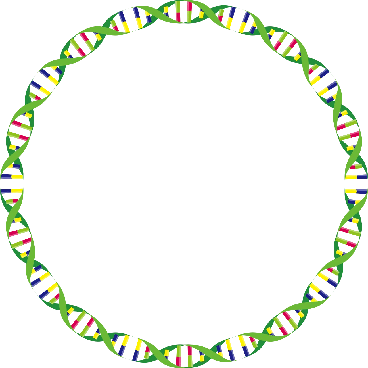 Plasmid