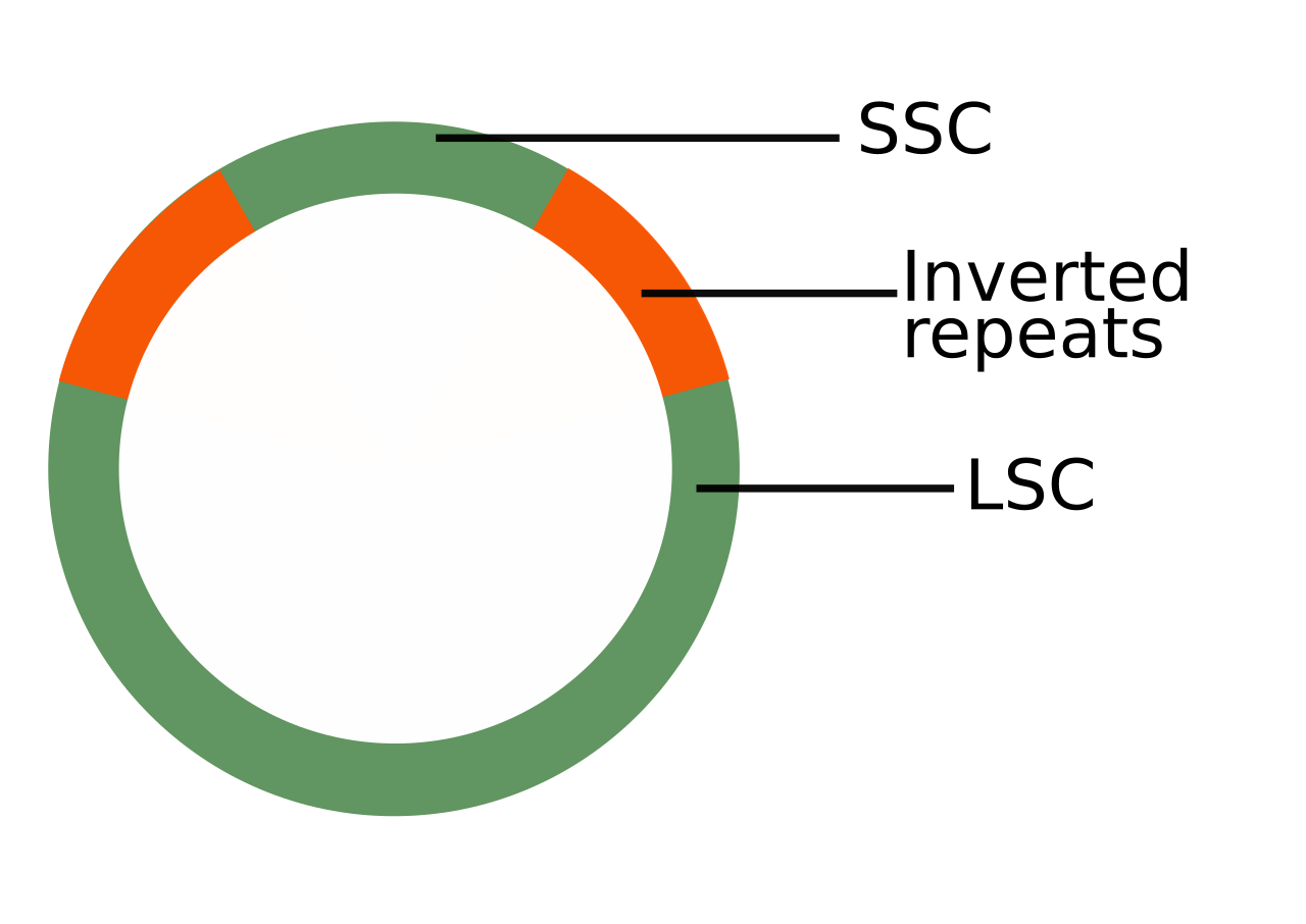 Plastid