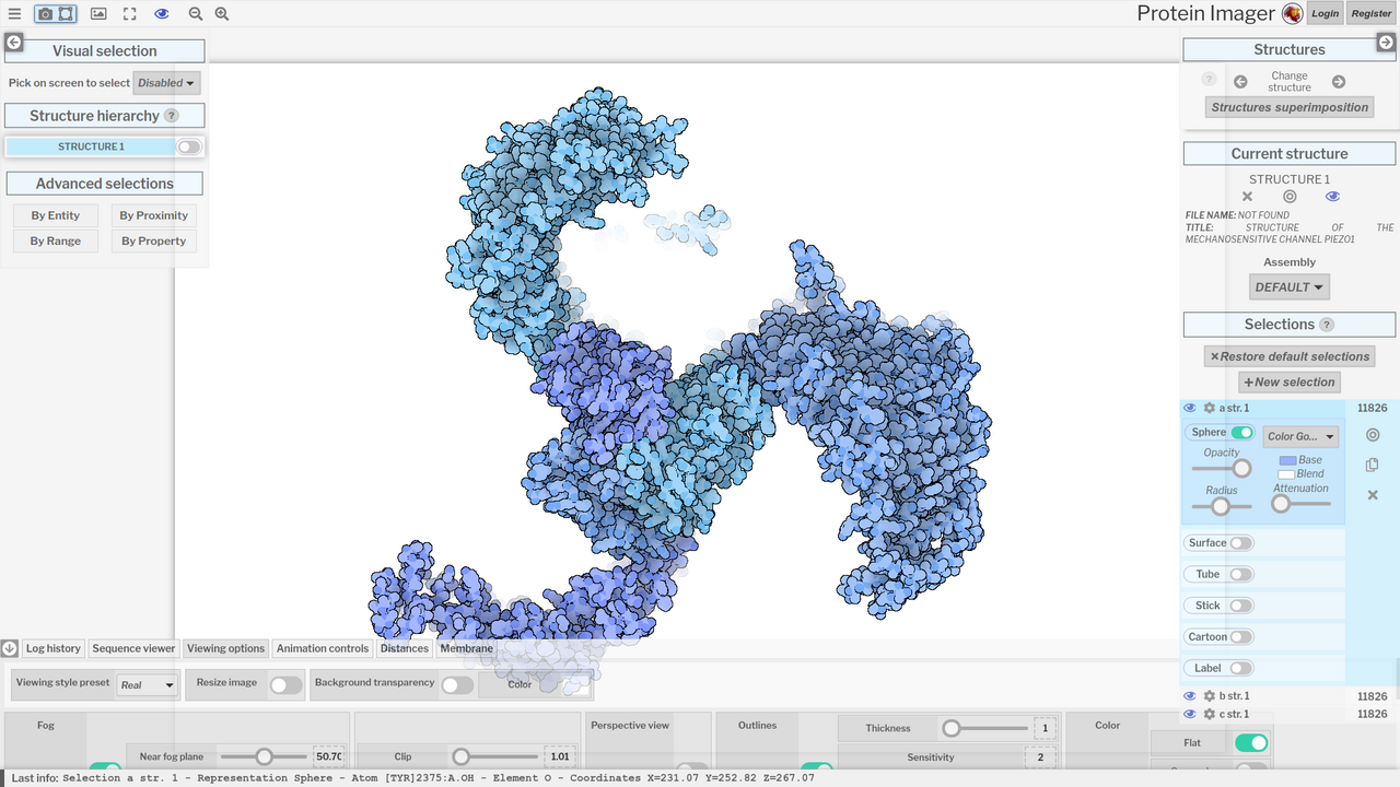 Protein