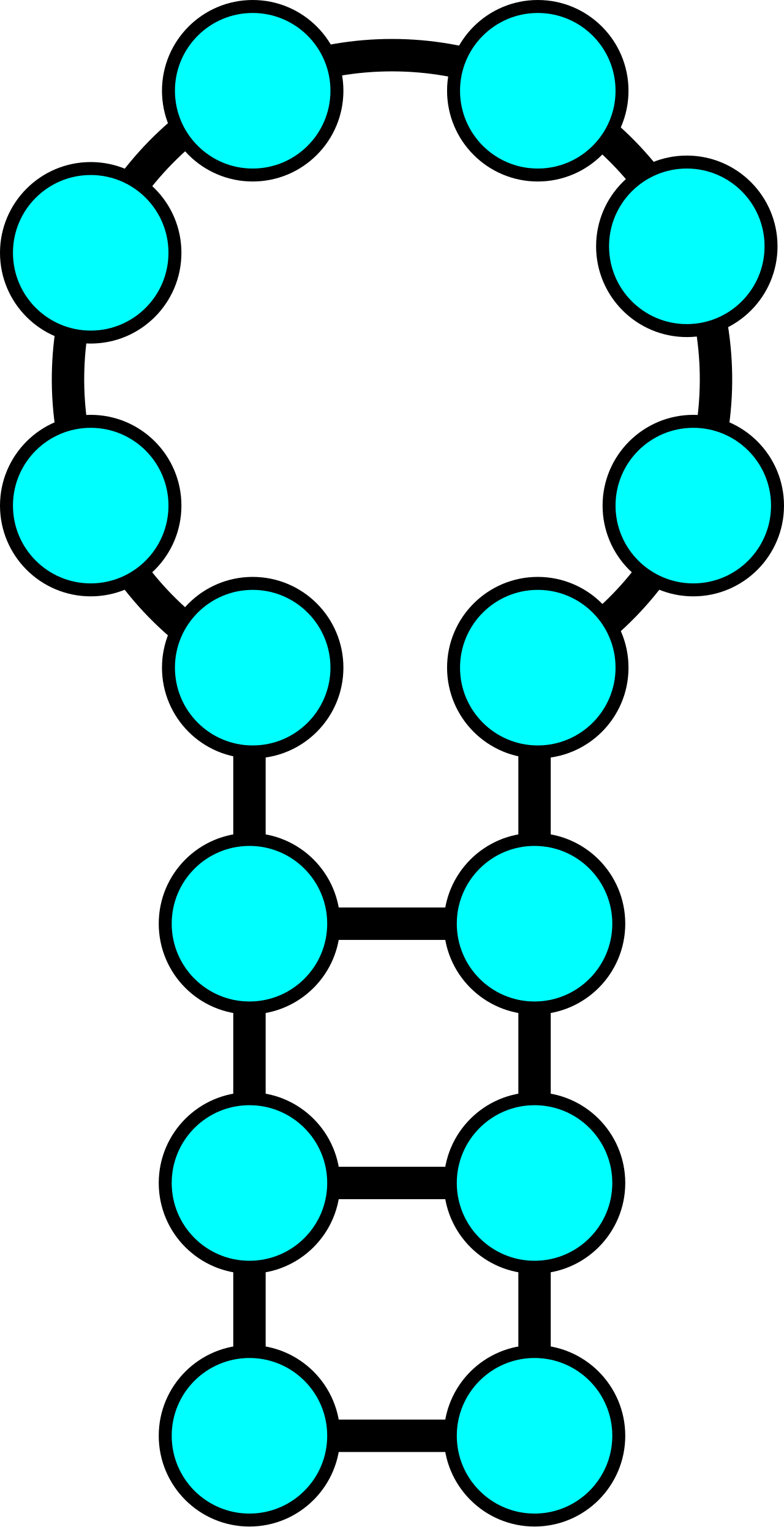 RNA