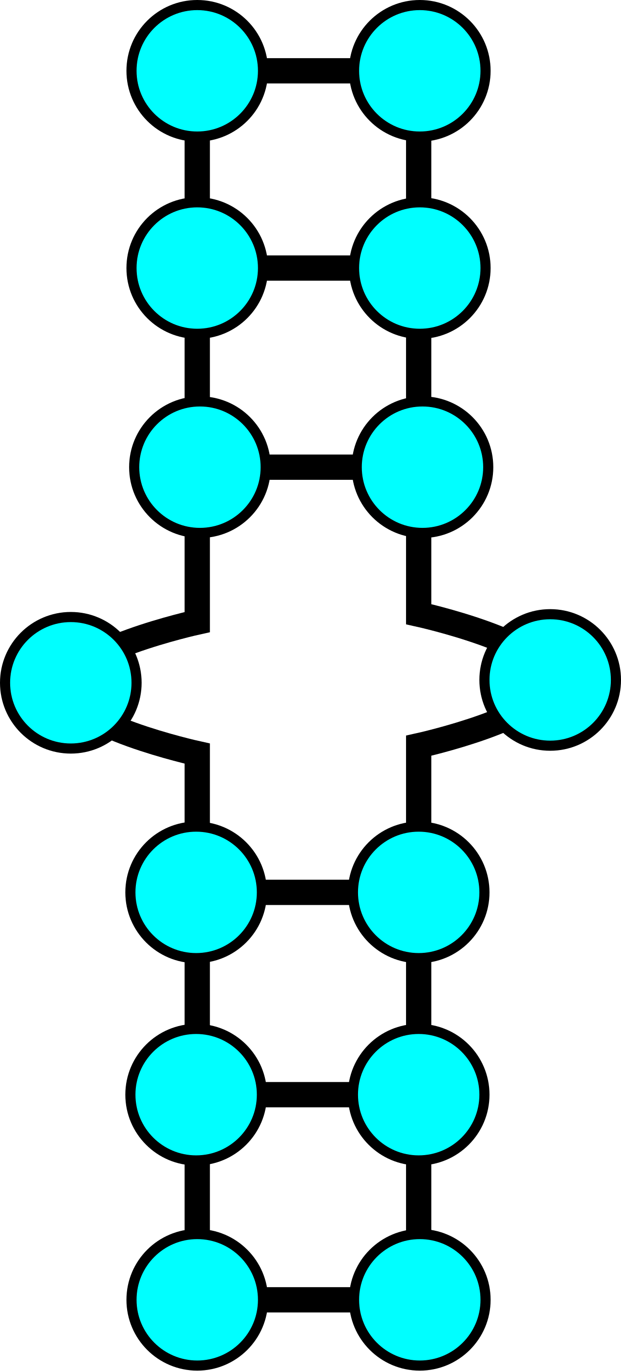 RNA
