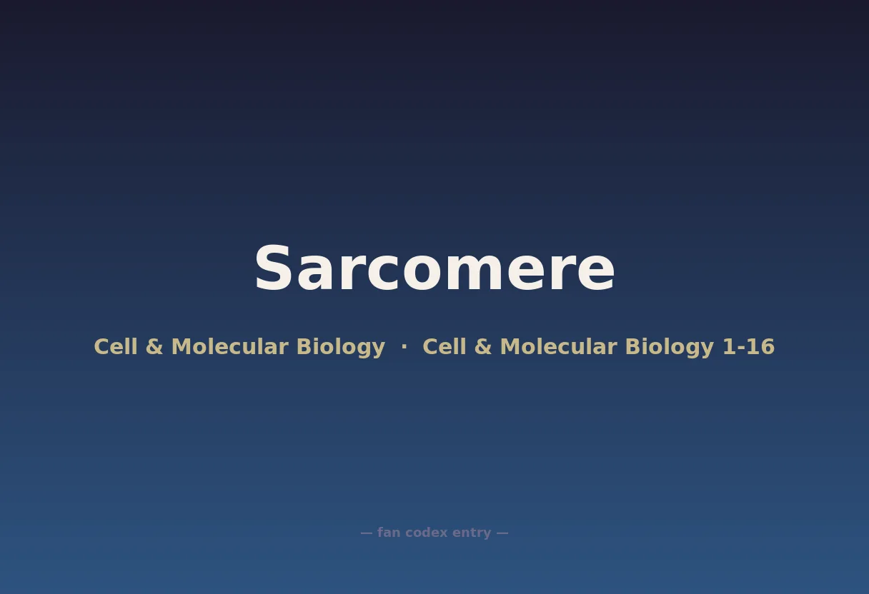 Sarcomere