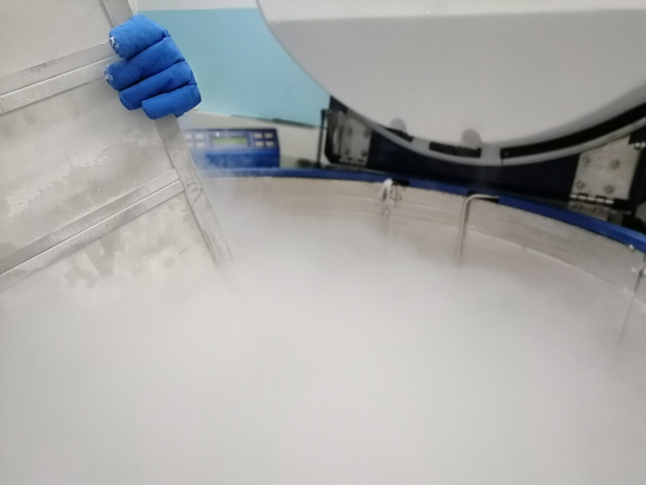 Stem cell