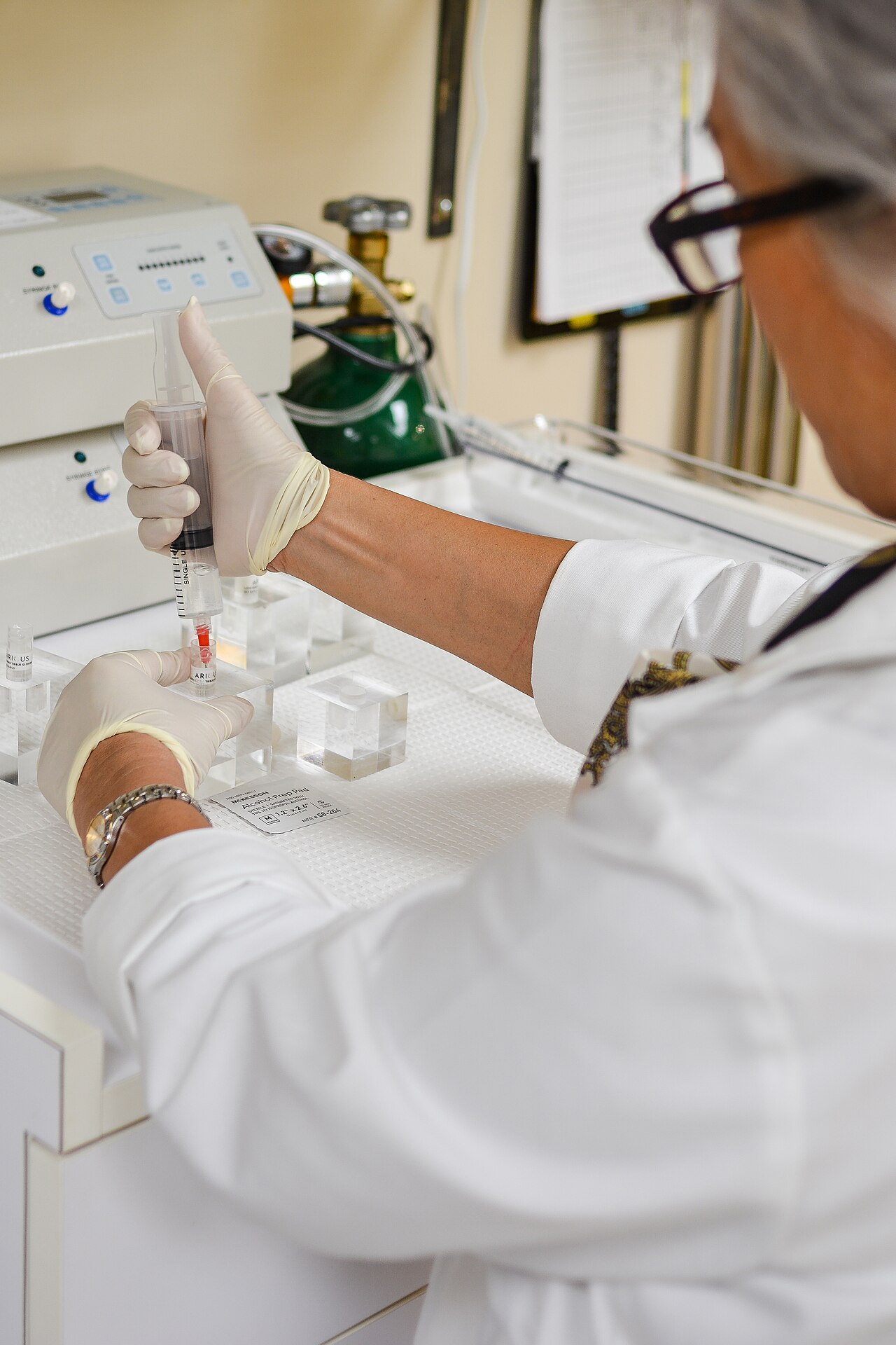 Stem cell