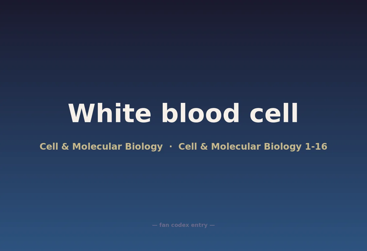 White blood cell